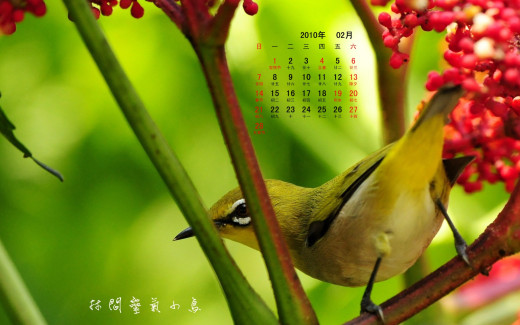 484626 (a): :1920x1200